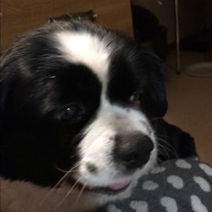 Meet your Posher, Tracey